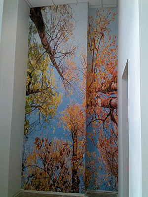 Tacoma, Gig Harbor, Seattle area wallcovering, wallpaper, and mural installation.